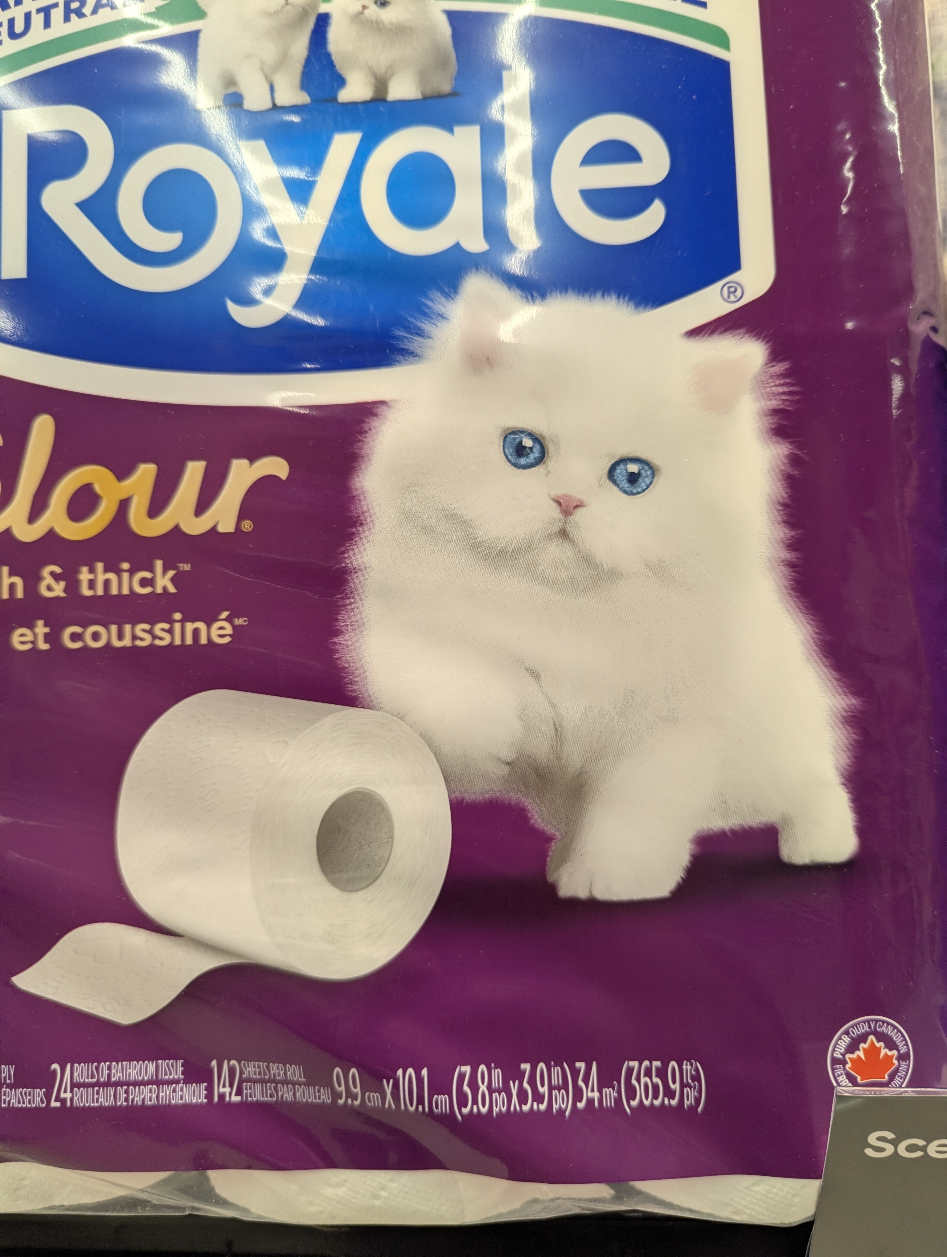 Birthday Trip to Canada